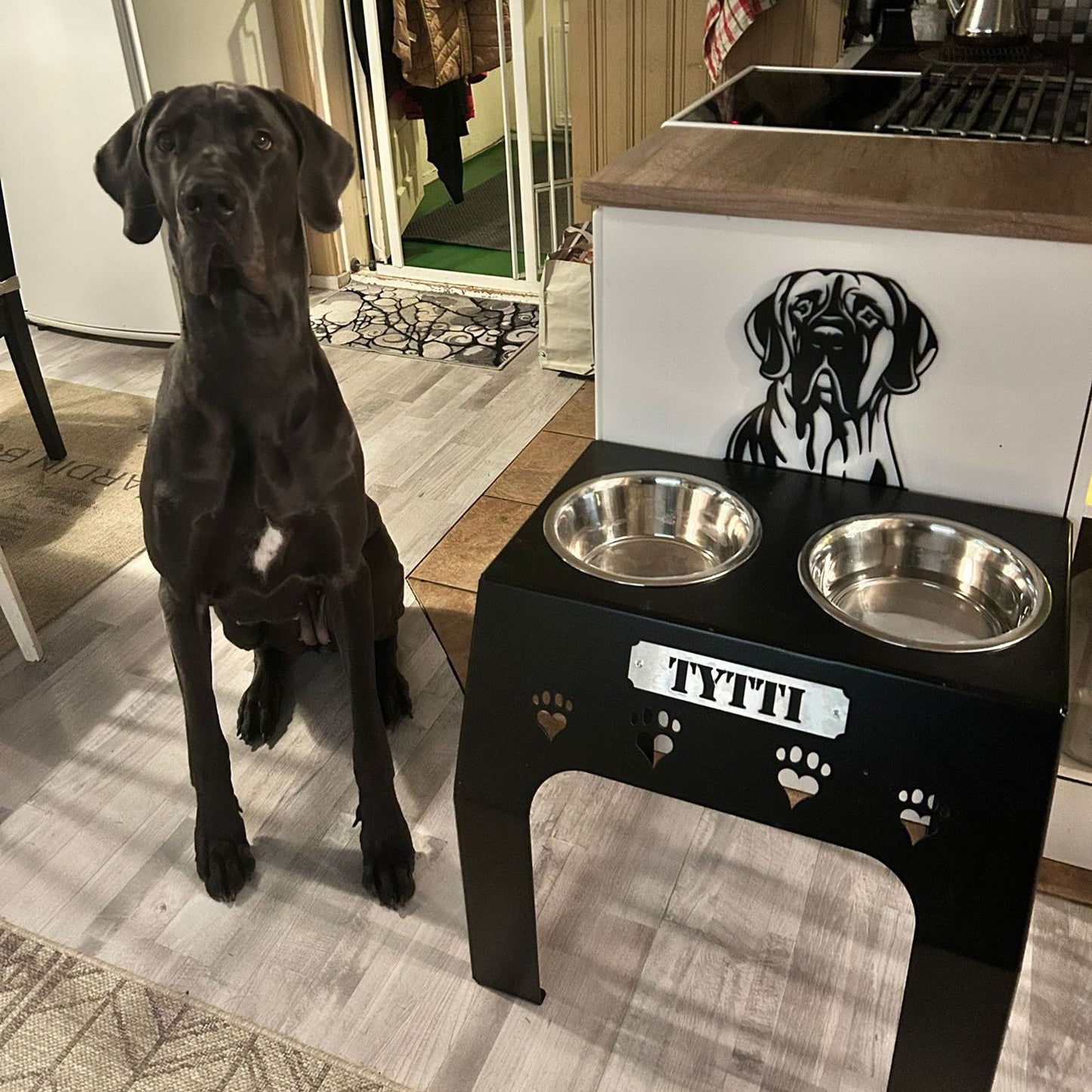 Korotettu ruokakuppiteline koirille koko XXL (korkeus 55 cm)