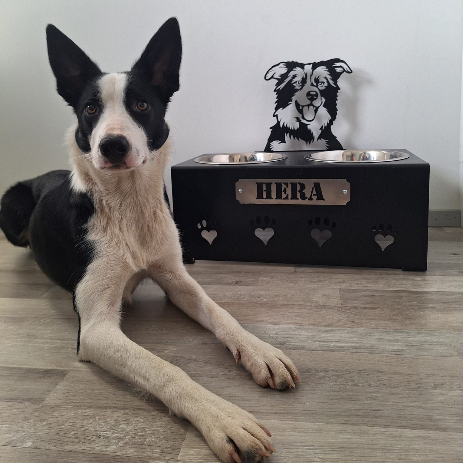 Korotettu M ruokakuppi isolle koiralle painava ja tukeva metallinen ruokakuppiteline, joka on helppo puhdistaa. Kustomoitava ja vaihdettava nimikyltti. Kustomoitava koirarotu. Vähentää koiran närästystä ja toimii samalla tyylikkäänä sisustuselementtinä.