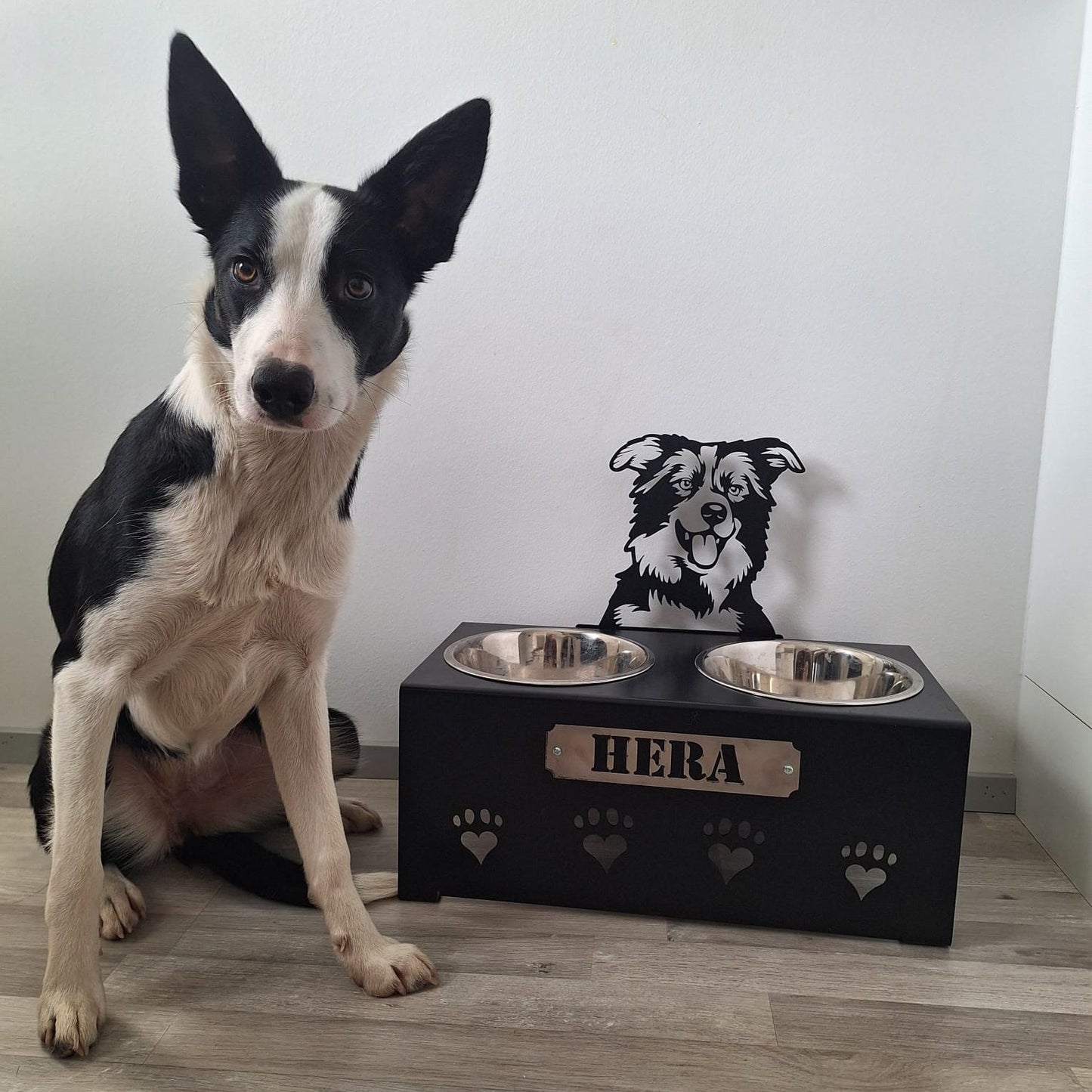 Korotettu M ruokakuppi isolle koiralle painava ja tukeva metallinen ruokakuppiteline, joka on helppo puhdistaa. Kustomoitava ja vaihdettava nimikyltti. Kustomoitava koirarotu. Vähentää koiran närästystä ja toimii samalla tyylikkäänä sisustuselementtinä.