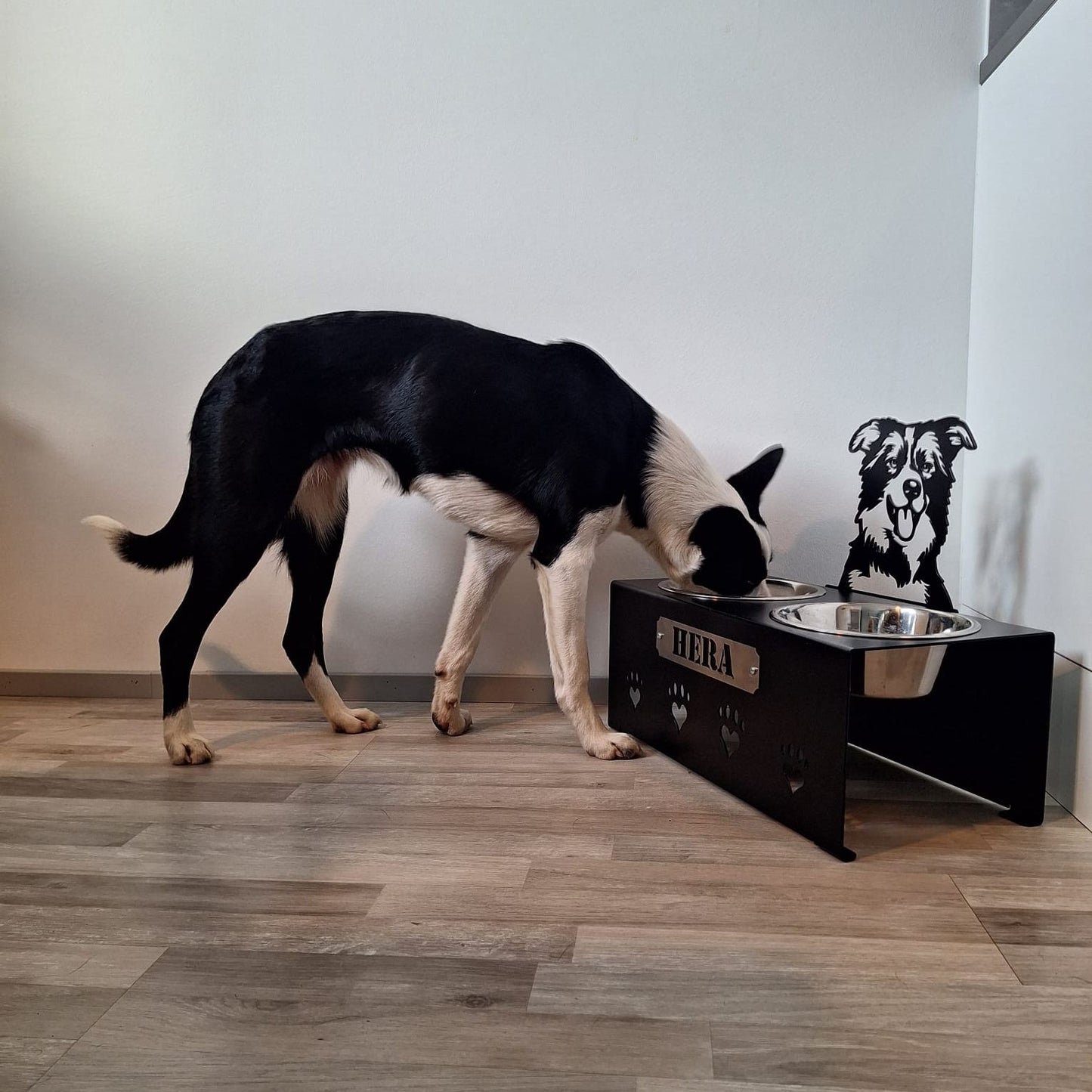 Korotettu M ruokakuppi isolle koiralle painava ja tukeva metallinen ruokakuppiteline, joka on helppo puhdistaa. Kustomoitava ja vaihdettava nimikyltti. Kustomoitava koirarotu. Vähentää koiran närästystä ja toimii samalla tyylikkäänä sisustuselementtinä.